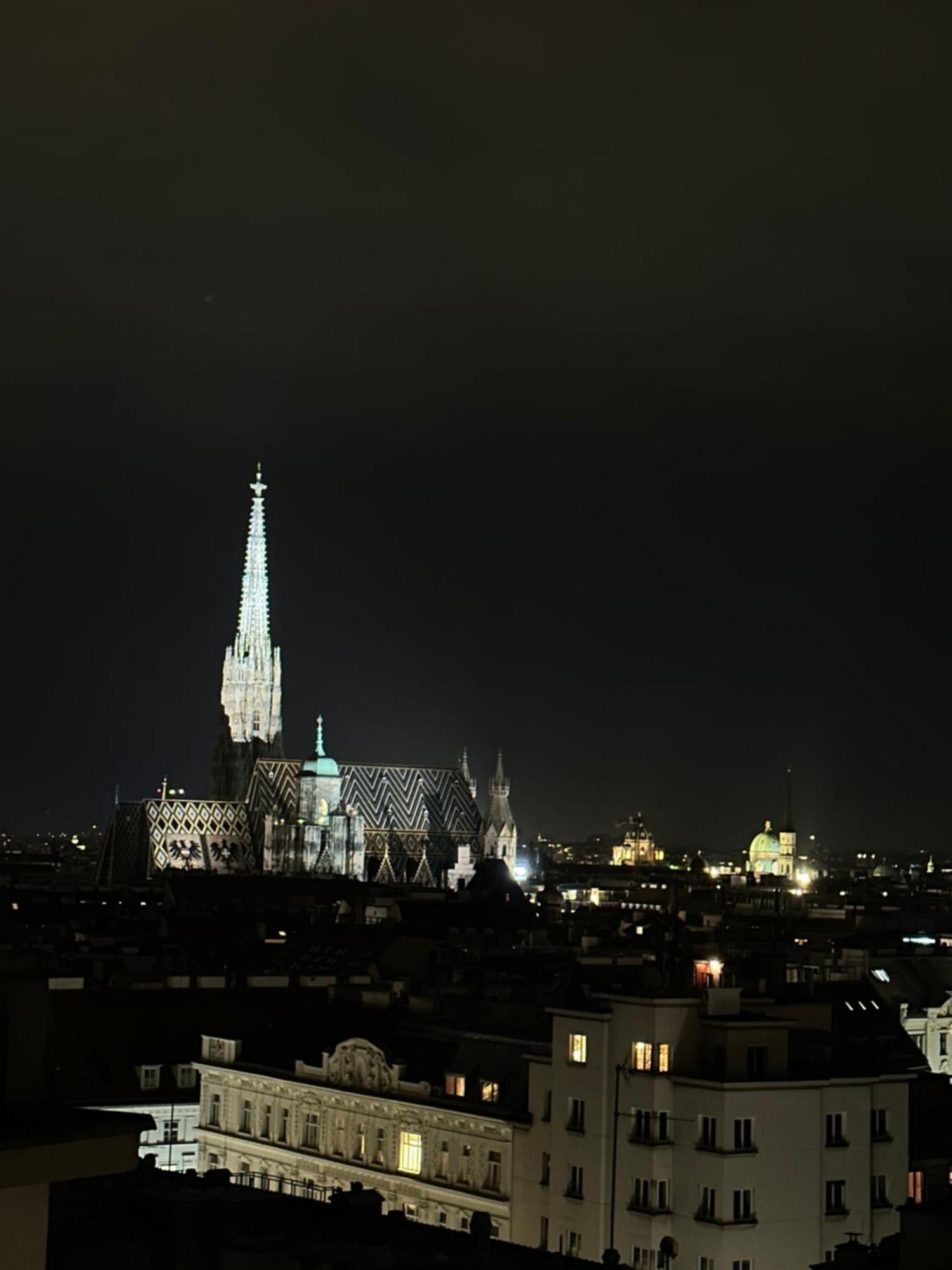 Center Apartment With 360° Rooftop ウィーン エクステリア 写真